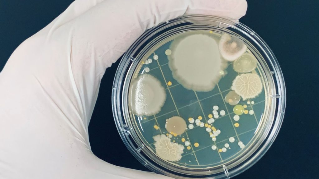 The Benefits of Composting for Soil Health