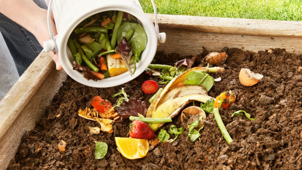 The Benefits of Composting for Soil Health