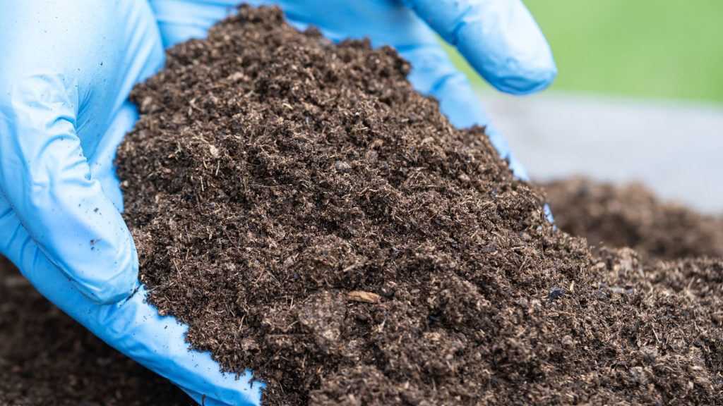 Unlocking the Secrets of Soil Health: How Fertilizers Play a Vital Role
