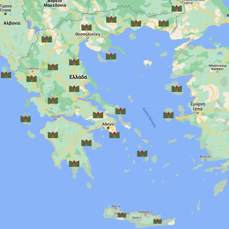 Find a geoHUMUS® supplier